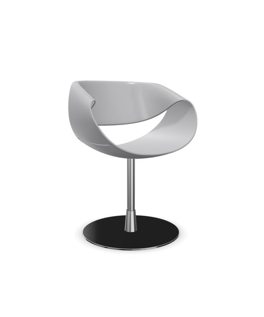 Little Perillo mit Tellerfuß