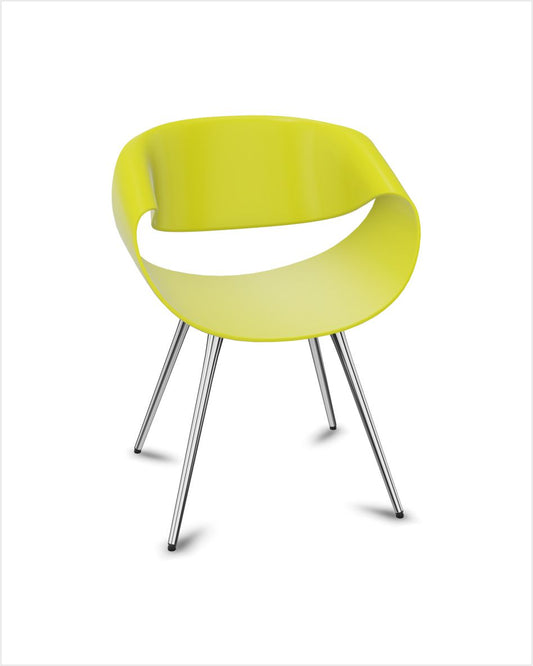 Little Perillo Vierbeiner