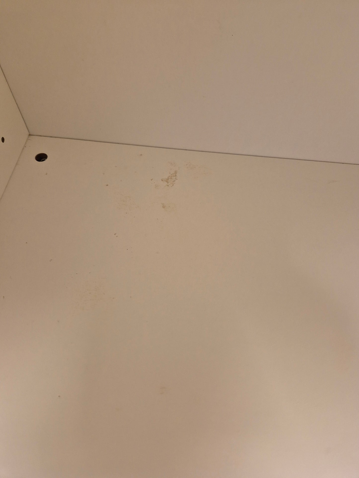 Palmberg Regal -Einzelstück-