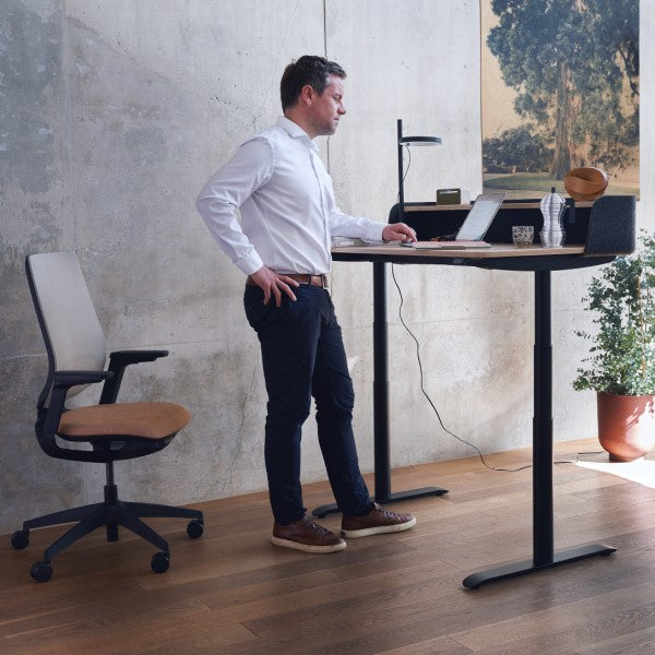 Steh-Sitz-Tisch SE Desk